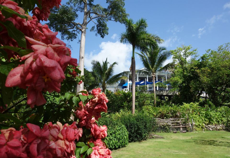 Hotel Mockingbird Hill, Exterior, Garden