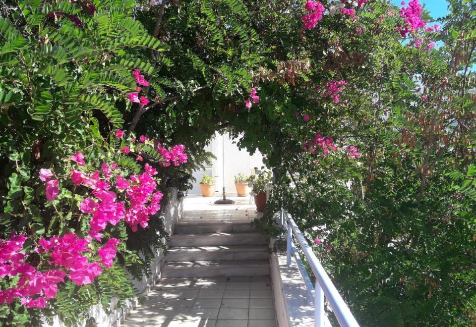 Hotel Seafront Studios and Apartments, Exterior, Garden