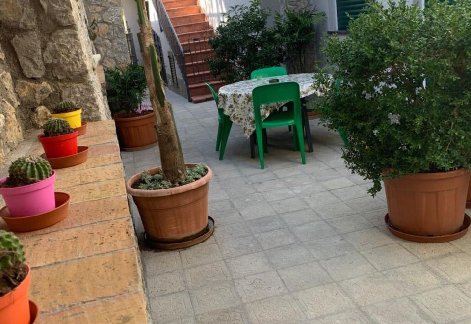 Hotel Hedera, Exterior, Garden