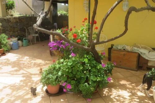 Hotel Finca Cortez Apartment 2, Exterior, Garden
