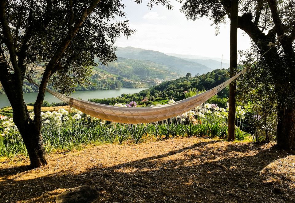 Hotel Casa da Mouta - Douro Valley, Exterior, Garden