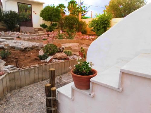 Hotel Marco Polo's Mooring Cozy Navy House, Exterior, Garden