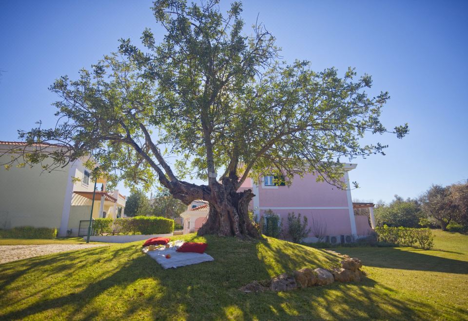 Hotel Cegonha Country Club, Exterior, Garden