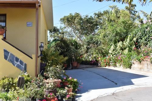 Hotel Casa Rosa, Exterior, Garden