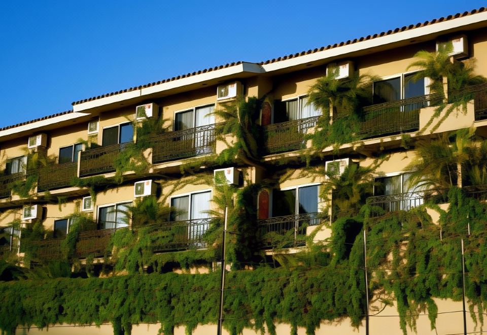 Hotel Cabo Vista Hotel Adults Only, Exterior, Hotel Exterior