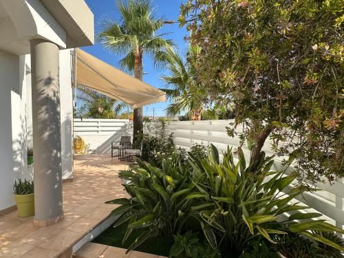 Hotel Villa Andy-350 m from the Beach, Exterior, Garden