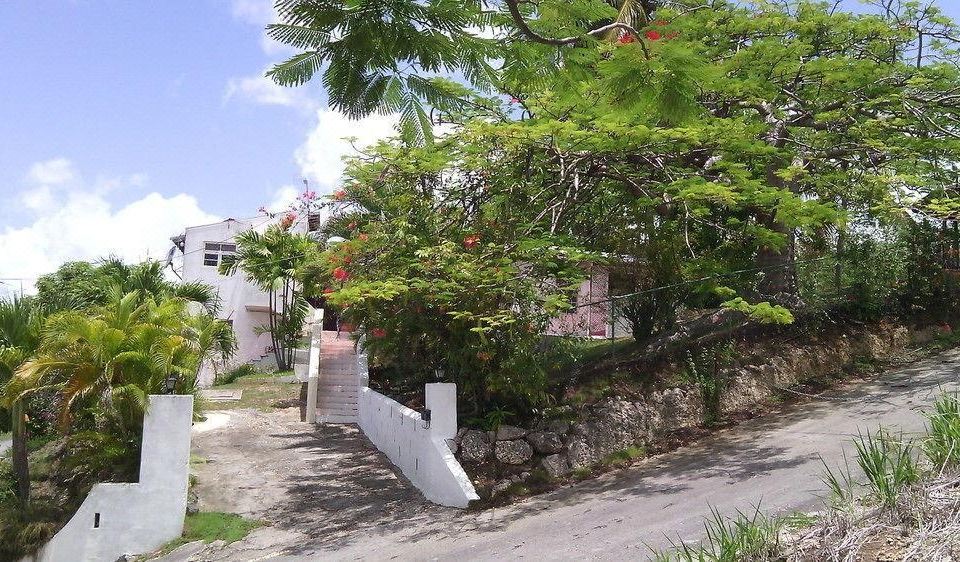 Hotel Morris Apartments, Exterior, Garden