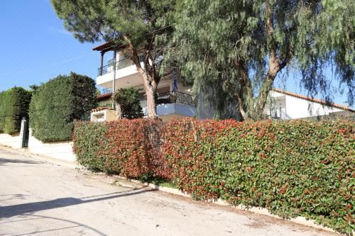 Hotel Perfect Home for Relaxing, Near Hotel, Surroundings