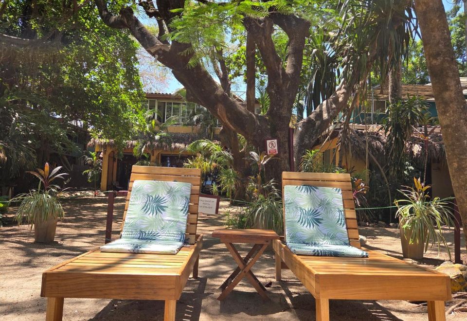 Hotel la Palapa, Exterior, Garden