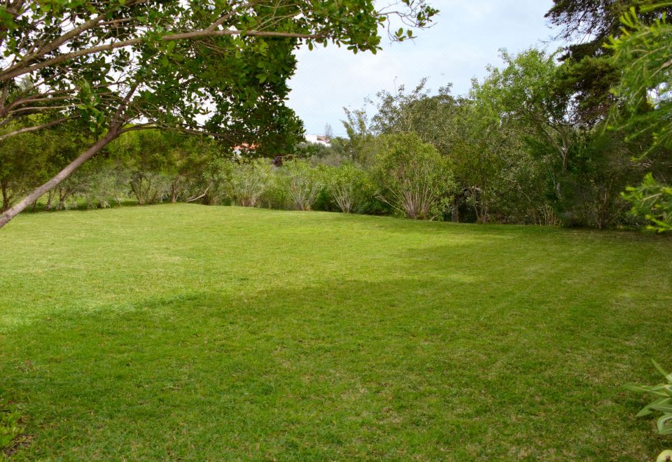 Hotel Neves II, Exterior, Garden