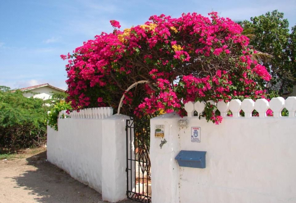 Hotel Villa Bougainvillea Aruba, the Tango Suite, Exterior, Hotel Exterior