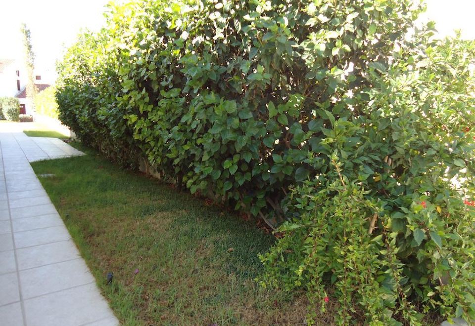 Hotel Katikies 20, Exterior, Garden
