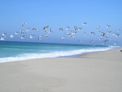 Hotel Torreira Vacation Homes - Sea House, Leisure & Recreation, Beach