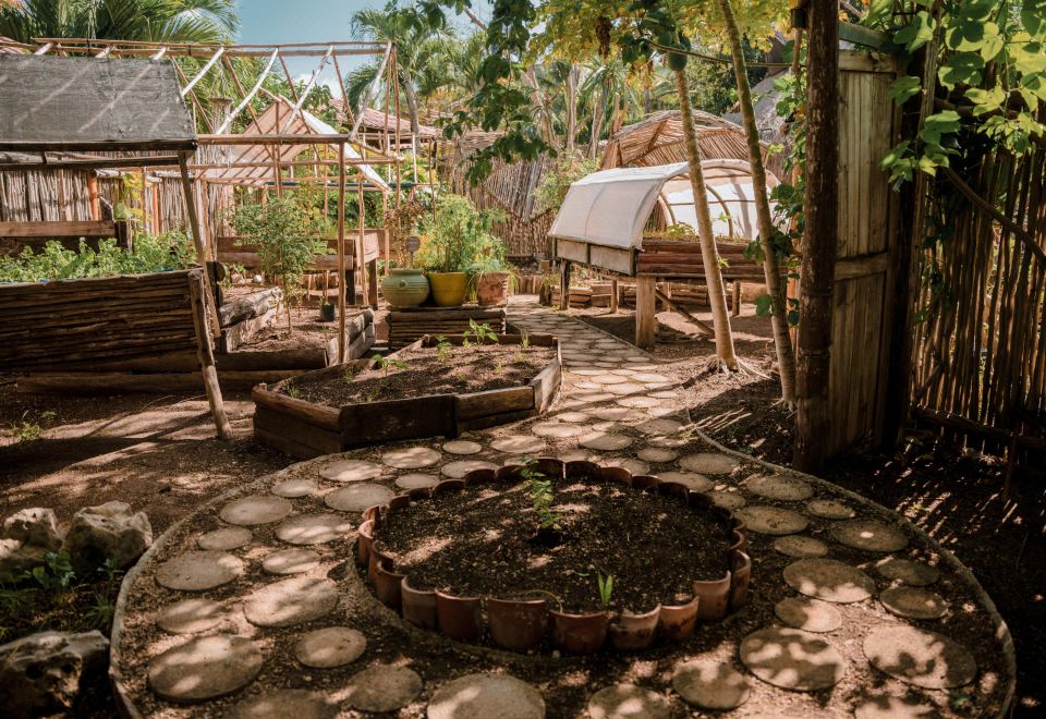 Hotel Petit Lafitte Beach Front Hotel & Bungalows, Exterior, Garden
