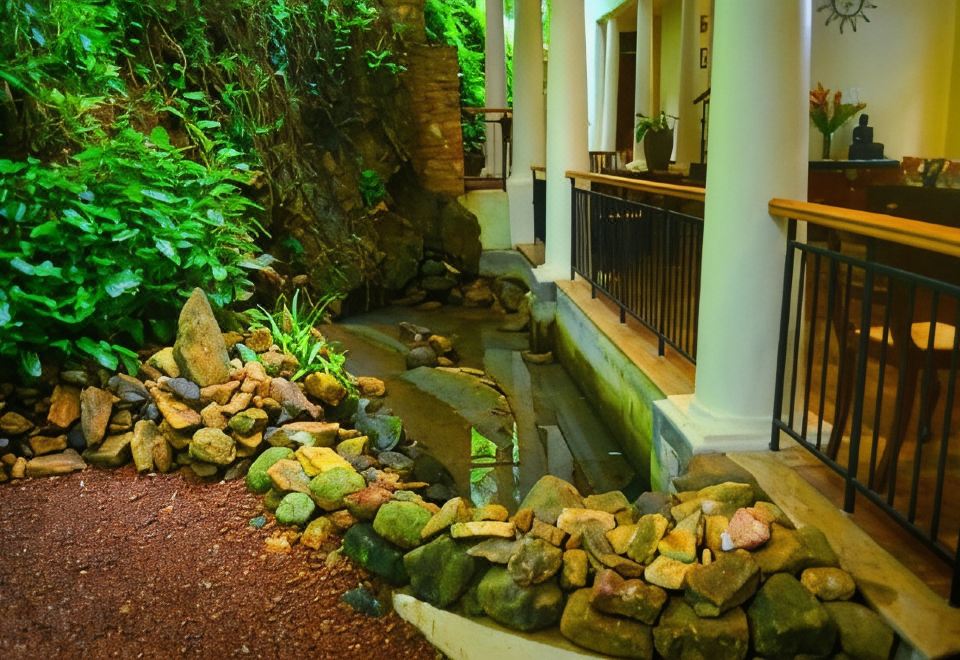 Hotel Tropical Retreat, Exterior, Garden