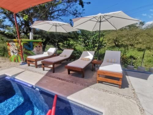 Hotel Tuki Tuki Lodge, Leisure & Recreation, Outdoor Swimming Pool