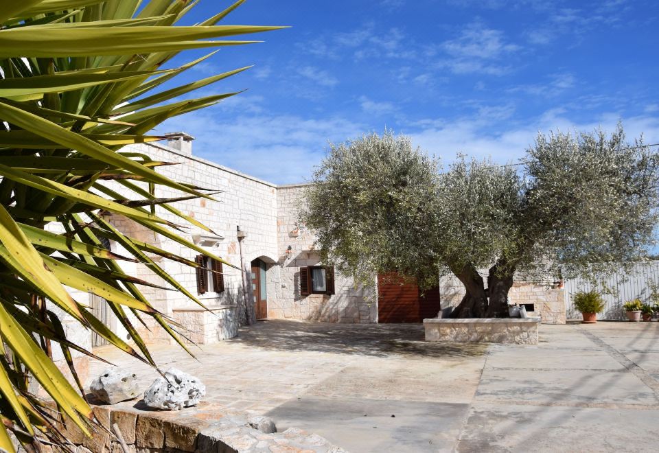 Hotel Dimora Domrose, Exterior, Garden
