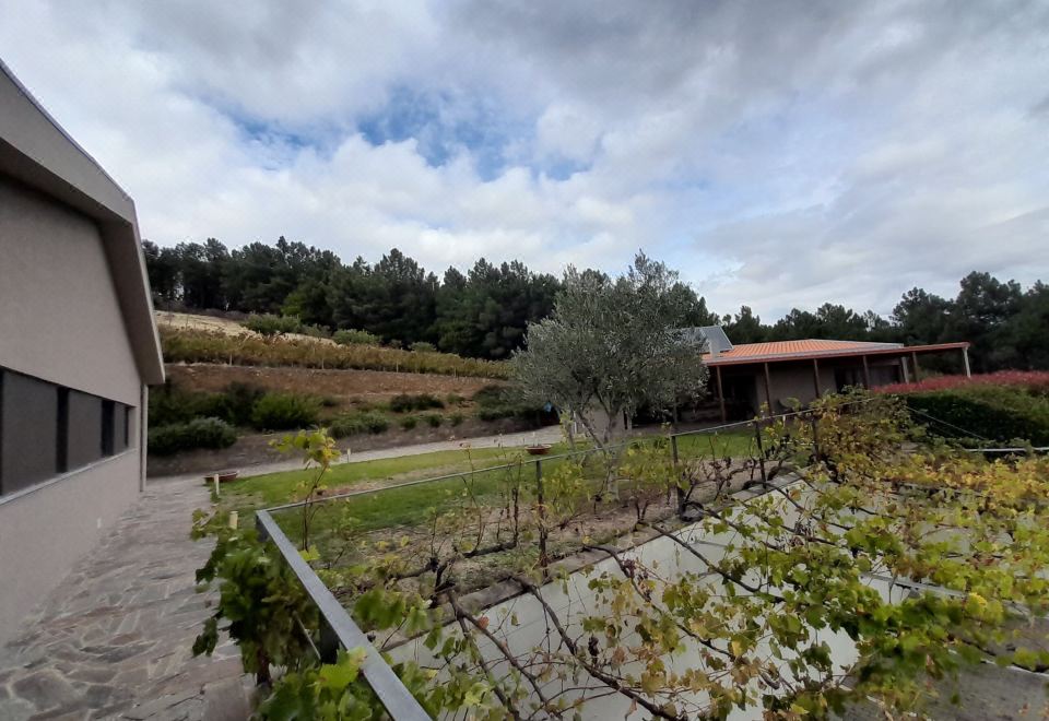 Hotel Quinta Manhas Douro, Exterior, Garden