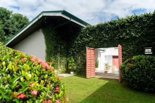 Hotel Por Que No?, Exterior, Garden