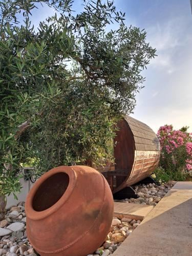 Hotel Villa Enalia Paphos, Exterior, Garden