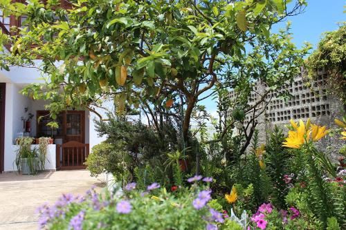 Hotel Casa Los Palitos, Exterior, Garden