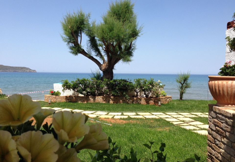 Hotel Hermes Beach Front, Exterior, Garden