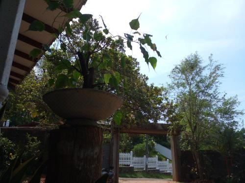 Hotel Muthu Villa Sri Lanka, Exterior, Garden