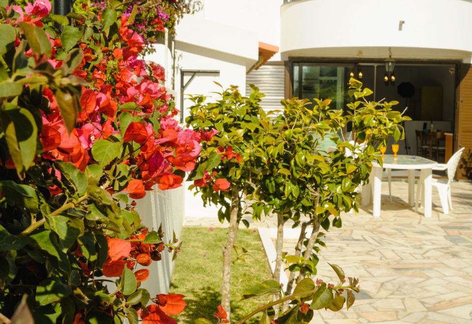 Hotel Studio Loureiro, Exterior, Garden
