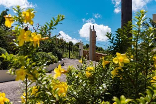 Hotel The Indianna ~ Luxury Pool & Spa, Exterior, Garden