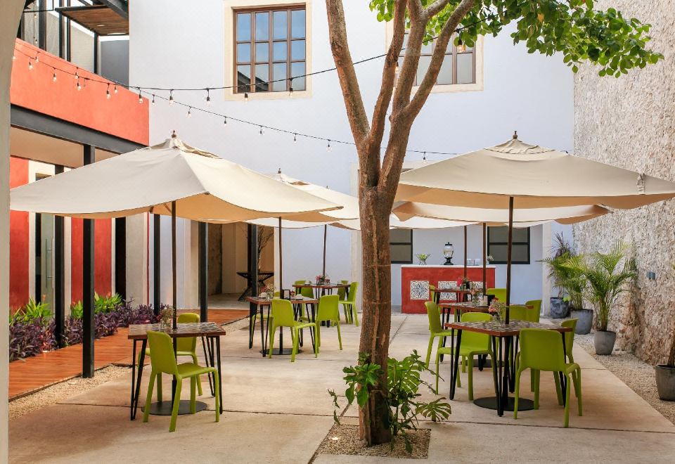 Hotel Casona 61, Exterior, Garden