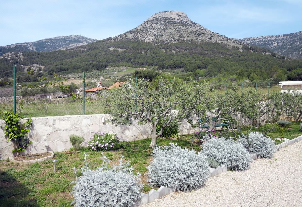 Hotel Lucije, Exterior, Garden