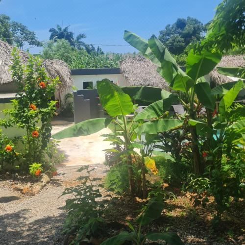 Hotel Bungalows Colibri, Exterior, Garden