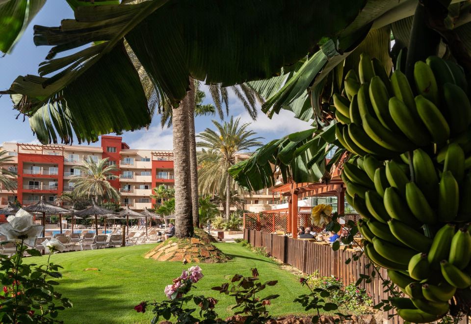 Hotel Elba Carlota Beach & Golf Resort, Exterior, Hotel Exterior