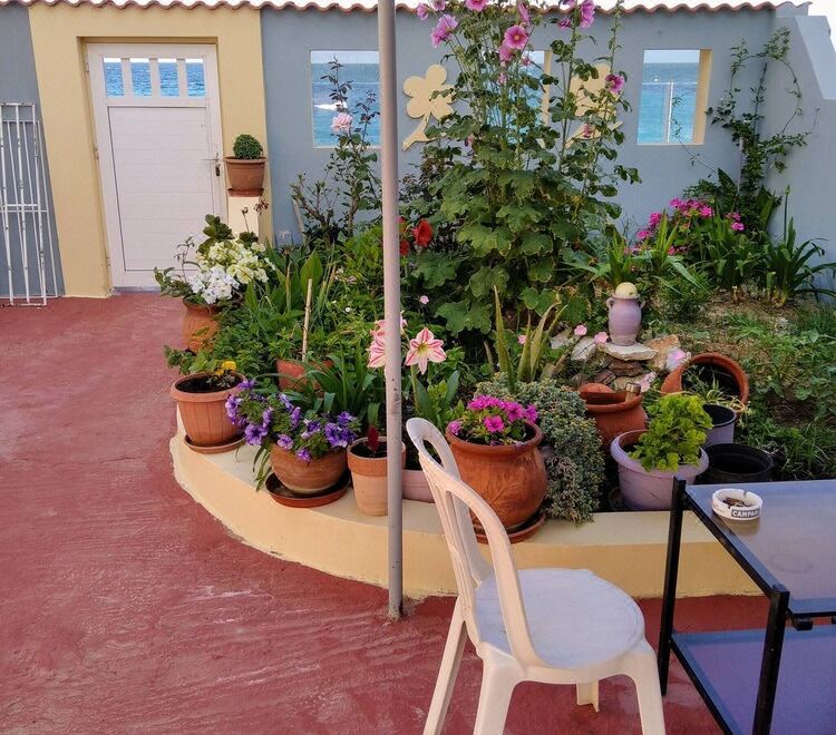 Hotel House on The Wave, Enchanting and Dreamy, Exterior, Garden