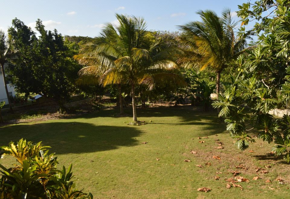 Hotel Sea Grove Villa, Exterior, Garden