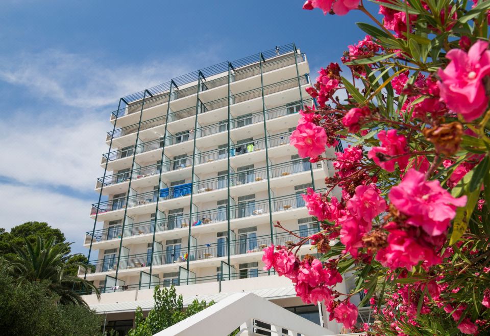 Hotel Neptun & Depandance Maslinik, Exterior, Hotel Exterior