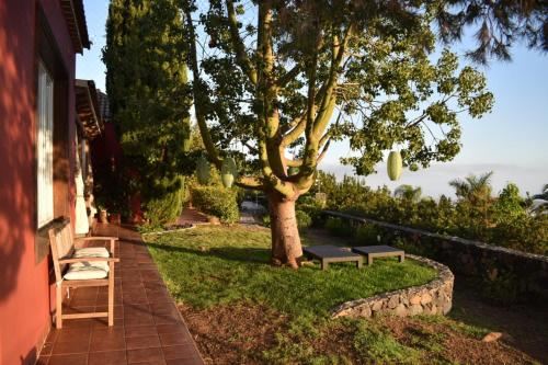 Hotel Villa Torres, Exterior, Garden