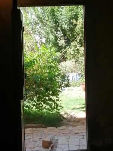 Hotel Studio in Byoum by Qaroun Lake in Fayoum, Exterior, Garden