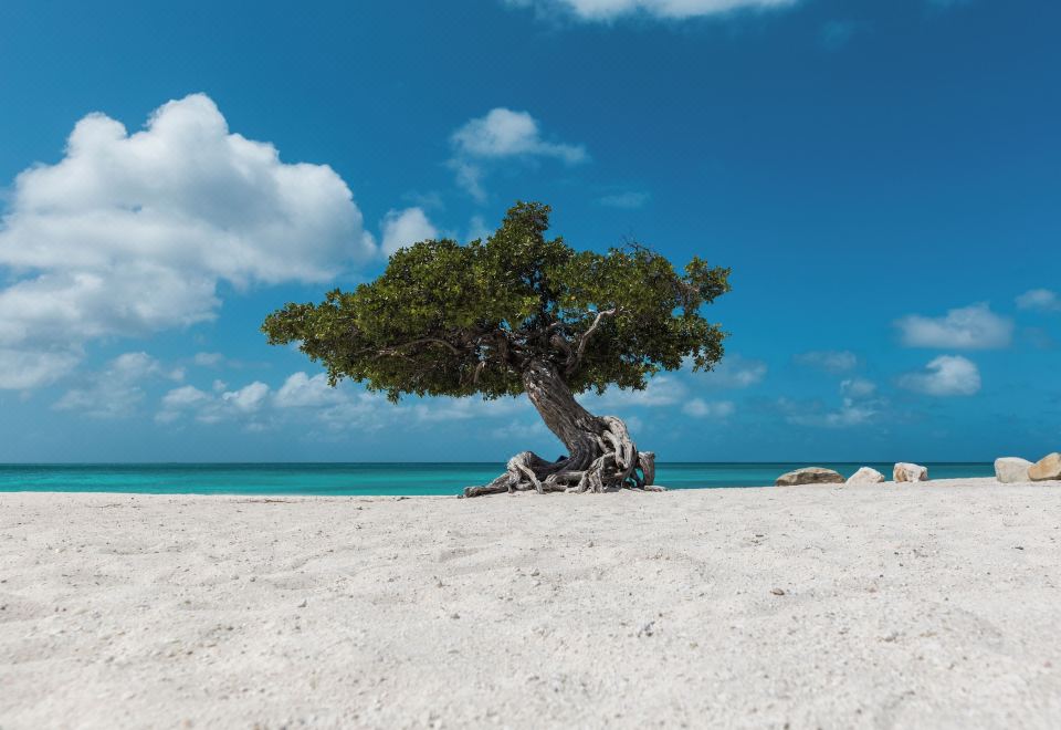 Hotel Rooi Santo 128, Leisure & Recreation, Beach