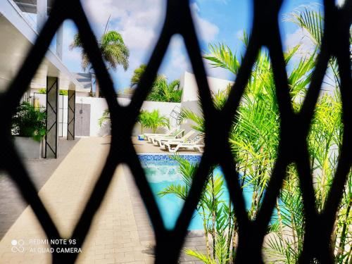 Hotel Studios 11and11Aruba, Leisure & Recreation, Outdoor Swimming Pool