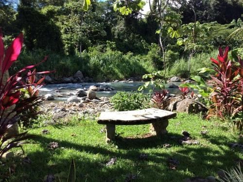 Hotel Toucan Villa -Riverfront with Pool & Near A Beach, Exterior, Garden
