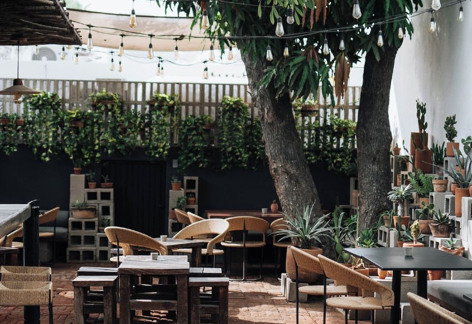 Hotel Drift San Jose del Cabo, a Member of Design Hotels, Exterior, Garden