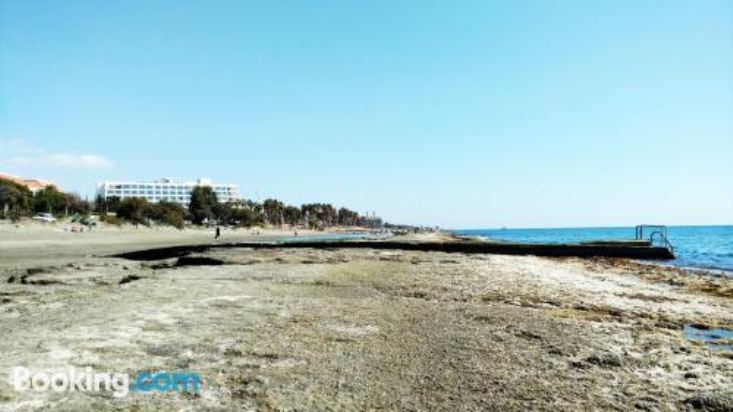 Hotel Olosuites, Exterior, Hotel Exterior