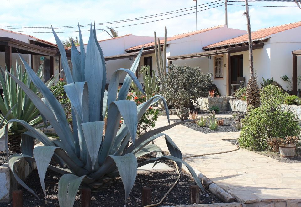 Hotel Comfortable 1-bed Bungalow in Parque Holandés, Exterior, Garden