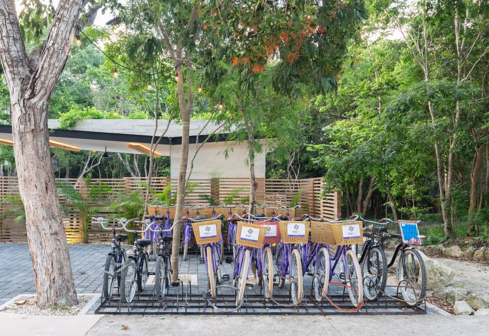 Hotel Attha Cenote Luxury Condo, Exterior, Garden