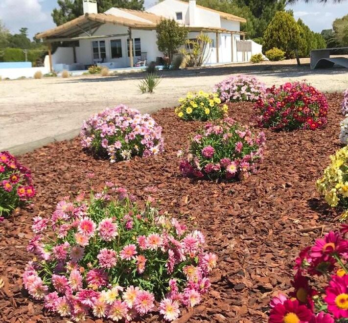 Hotel House with 4 Bedrooms in Comporta, with Enclosed Garden and Wifi, Exterior, Garden