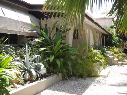 Hotel Bananas Apartments, Exterior, Garden