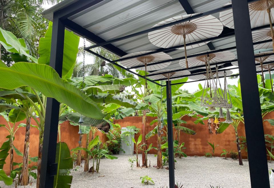 Hotel Casa Monte Verde, Exterior, Garden