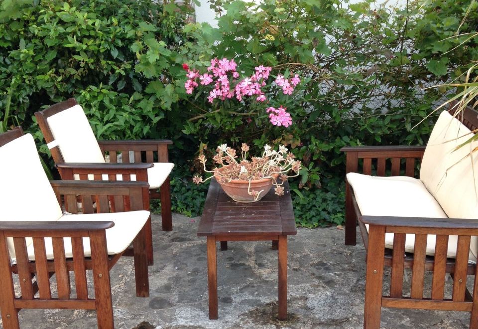 Hotel Apartment in Villa, Private Pool, Big Garden, Close to Sea and Old Zadar Town, Exterior, Garden