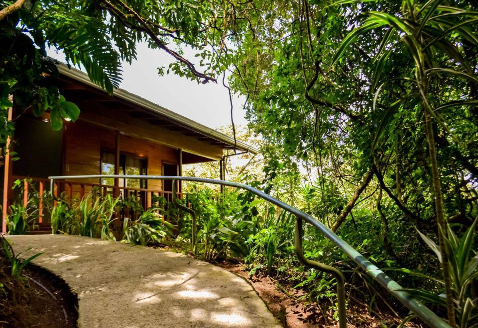 Hotel Jaguarundi Jungle Lodge - Monteverde, Exterior, Garden